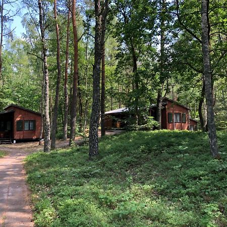 Lesnik Bungalow Stegna - Domki Letniskowe Nad Morzem Екстериор снимка
