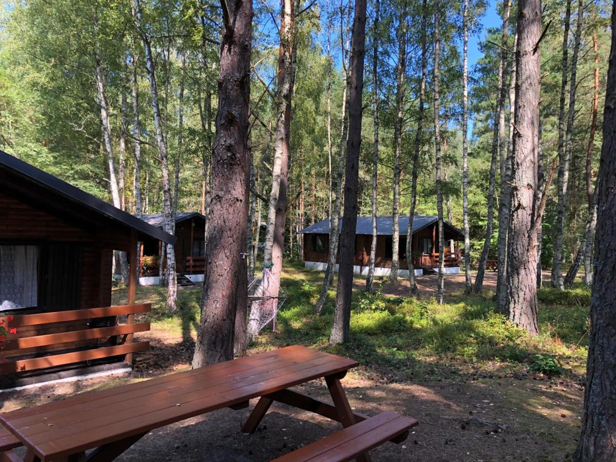 Lesnik Bungalow Stegna - Domki Letniskowe Nad Morzem Екстериор снимка