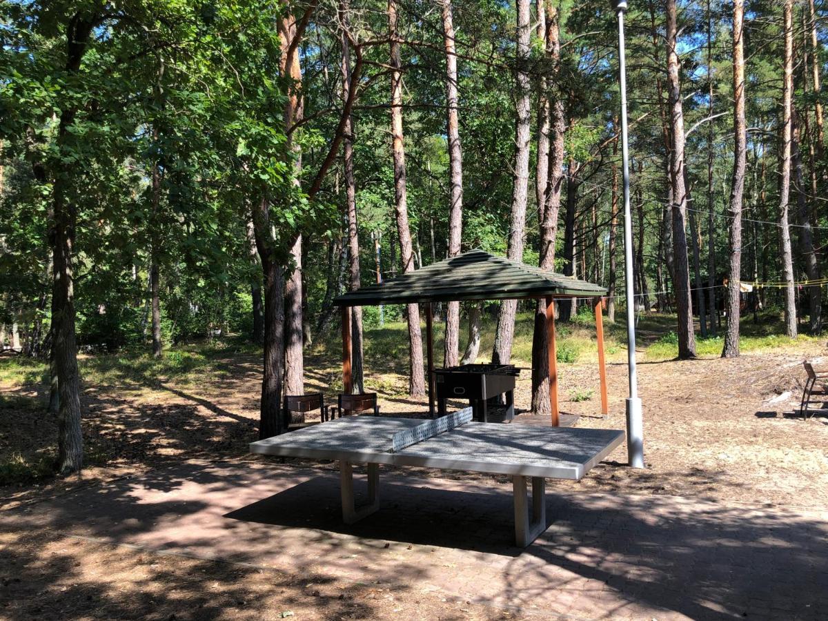 Lesnik Bungalow Stegna - Domki Letniskowe Nad Morzem Екстериор снимка