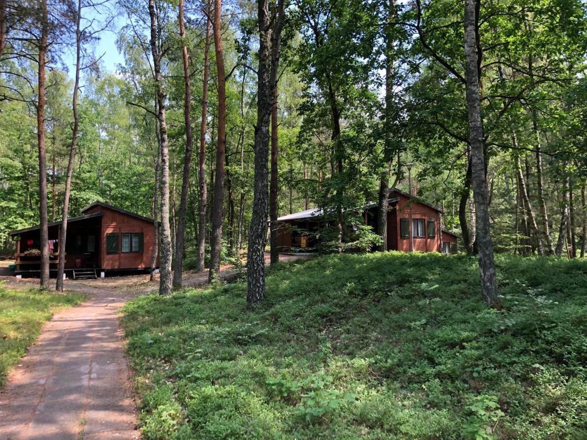 Lesnik Bungalow Stegna - Domki Letniskowe Nad Morzem Екстериор снимка